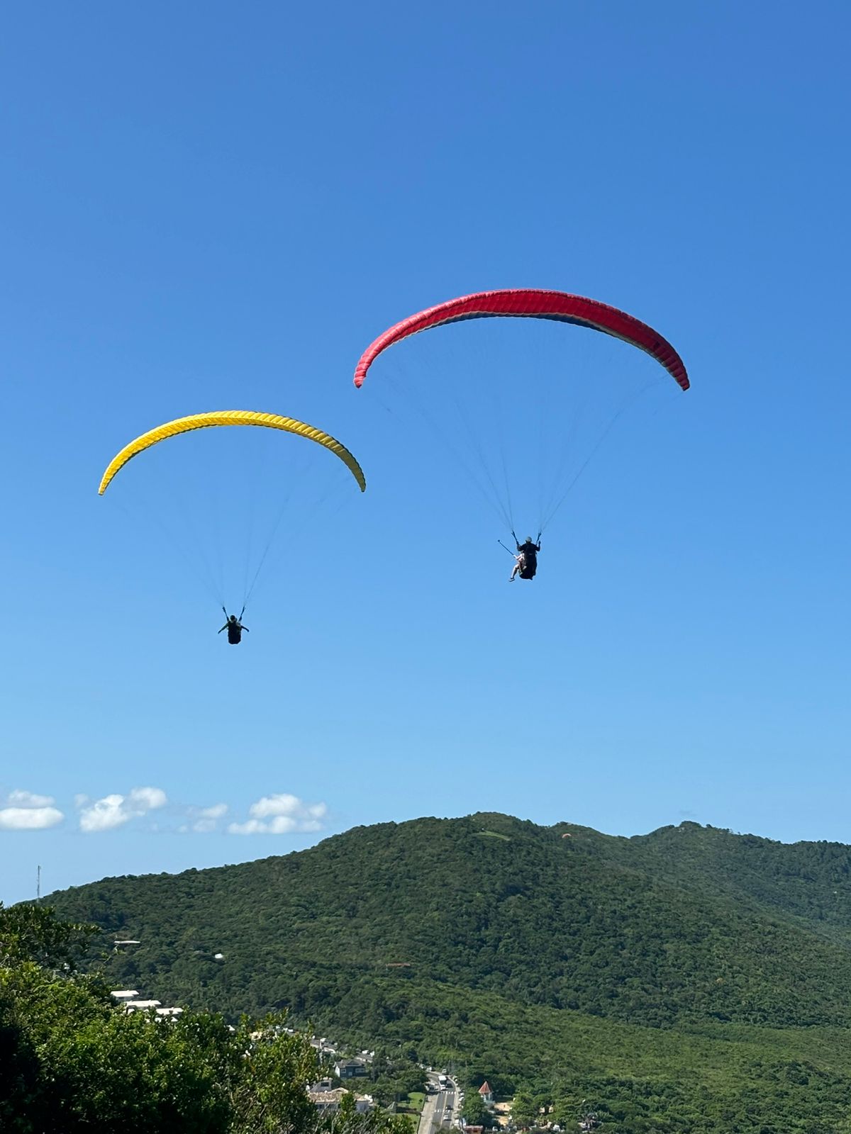 Dois parapentes em voo duplo